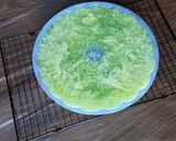 Foto langkah ke 8 dari resep Resep puding karang rasa melon.