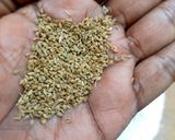 பாகர் வாடி (bakarwadi recipe in Tamil) ரெசிபி ஸ்டேப் 1 புகைப்படம்