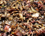Foto del paso 3 de la receta: Sepionets flamejades amb favetes, ceba i tomata