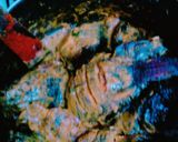 A picture of step 6 of Stewed Fish.