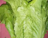 Foto langkah ke 1 dari resep Tumis selada (Lettuce).