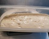 Foto del paso 1 de la receta 167. Panetone de pepitas de chocolate / Masa en panificadora