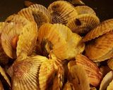 Une image de l'étape 5 de Spécial Saint  Valentin - Mini Coquilles Saint-Jacques sauce 