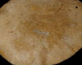 A picture of step 16 of Puran poli.