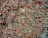 Foto langkah ke 3 dari resep Macaroni Schotel Spesial.