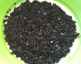 Foto del paso 1 de la receta: Ensalada de lentejas beluga