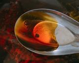 Hình bước làm 3 của món Bún bò giò heo