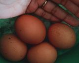 Foto langkah ke 4 dari resep Gulai talua pacah campur² padeh/gule telur pecah campur² pedes.