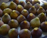 Une image de l'étape 2 de Figues séchées maison au deshydrateur, sans sulfites.