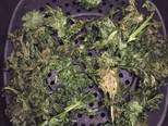 Thí nghiệm cùng cải xoăn: kale salad và kale chip bước làm 5 hình