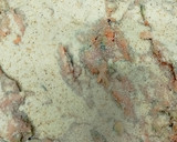 Foto del paso 3 de la receta: Hamburguesas de calabacín, zanahoria y carne