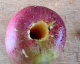 Une image de l'étape 1 de Pomme dit ¨au four ¨ cuisson easy fryer.
