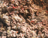 Foto del paso 1 de la receta: Berenjena rellena