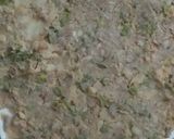 A picture of step 6 of Pin wheel samosa.