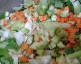 Foto del paso 3 de la receta: Sopa anticrisis 2x1