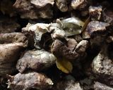 Foto langkah ke 1 dari resep Paru Balado.
