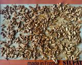 A picture of step 4 of Maple Candied Pumpkin Seeds (Pepitas).