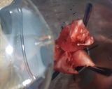 A picture of step 3 of Watermelon Juice.