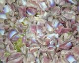 Foto del paso 4 de la receta Mollejas de pollo en salsa blanca ⚪