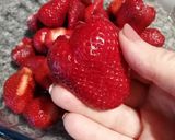 Foto del paso 4 de la receta: Brazo de gitano de crema de frutillas 🍓