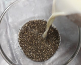 ஃப்ரூட் அண்ட் நட் சியா சீட் புட்டிங் (Siya seed pudding recipe in Tamil) ரெசிபி ஸ்டேப் 1 புகைப்படம்