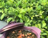 A picture of step 10 of Kwadon zogale/Moringa salad.