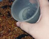 Foto langkah ke 6 dari resep Orek Kering Tempe Kacang Tanah.