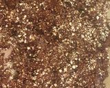 Foto del paso 3 de la receta: Granola casera de chocolate