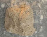 A picture of step 4 of No- knead bread.
