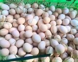 Hình bước làm 1 của món Trứng gà ngâm tương