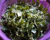 Foto langkah ke 1 dari resep Bobor Selada air + tempe.