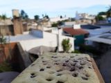 Brownie de limón🍋 (Sin manteca!!!!)