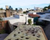 Foto del paso 5 de la receta: Brownie de limón🍋 (Sin manteca!!!!)