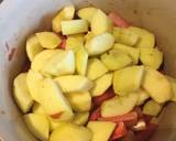 Rhubarb, Apple & Ginger Crumble 🍎🍏 recipe step 2 photo