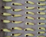 Foto langkah ke 5 dari resep Kue kering ulet.