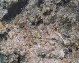Foto del paso 8 de la receta: Paté de hongos para darle el gusto a mis amigas