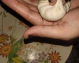 A picture of step 14 of Chinese Potli.