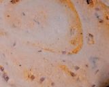 A picture of step 8 of Paneer Lachha Paratha.