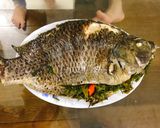 Hình bước làm 1 của món Cá hấp bia cách đơn giản nhất