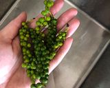 Hình bước làm 3 của món Gà hấp tiêu xanh nước dừa