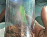 শাহী গরম মশলা (Shahi Garam masala recipe in bengali) রেসিপি ধাপ - 3 ছবি