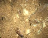 A picture of step 2 of Gurasa (Bandashe).