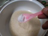 Puding Lumut