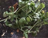 A picture of step 3 of Pea Shoot Salad.