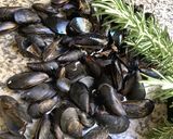 Une image de l'étape 11 de Moules à la portugaise 🍅🥬🌶🌶🧄.