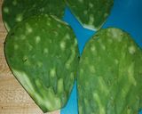 A picture of step 3 of Pork tenderloin with cactus.
