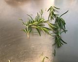 Une image de l'étape 3 de Tomates à l'ail mariné,romarin et épices.