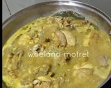 Foto langkah ke 8 dari resep Opor Ayam (no santan).