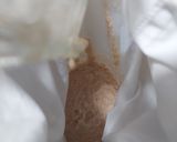 Foto del paso 4 de la receta: Milcao Solito🌟 (Apto para Vegetarianos Y Veganos)