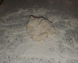 A picture of step 3 of Homemade Egg Noodles.
